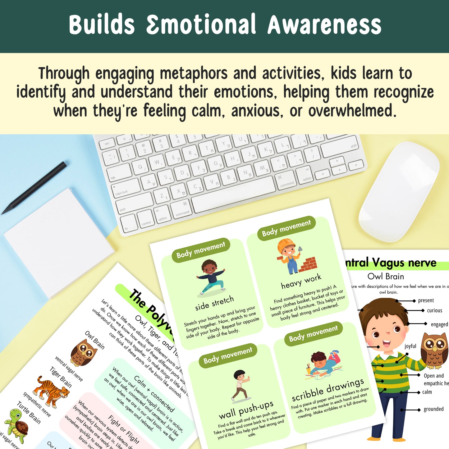 Nervous System Regulation for Kids, Emotional Regulation Skills, Polyvagal Theory for Children, Building Distress Tolerance, Strengthening the Window of Tolerance