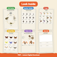 The Little Naturalist's Year | Nature Journal for Kids Ages 3–8 | 152-Page | 4 Season Books, Stories, Parent Guide & Posters | Printable PDF