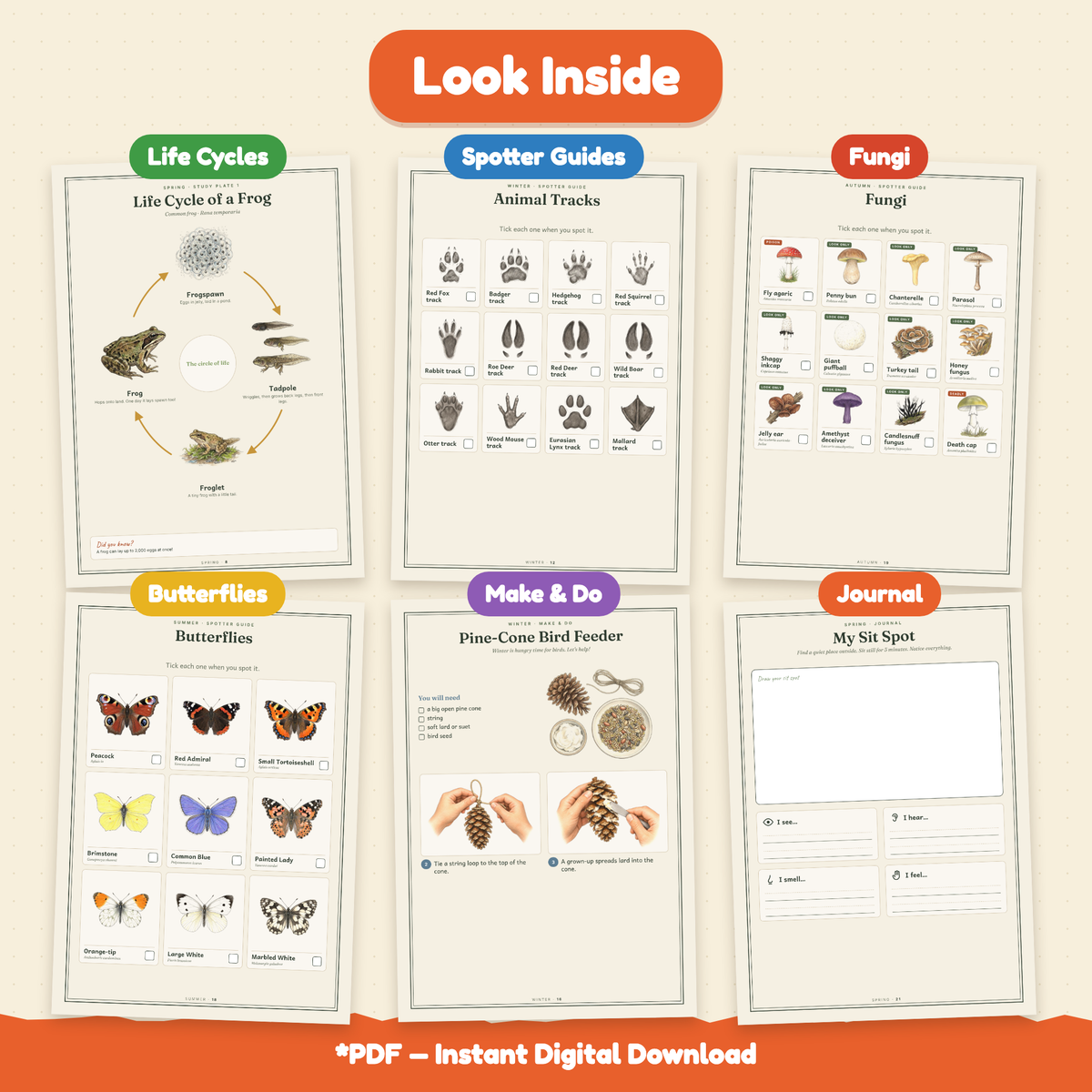 The Little Naturalist's Year | Nature Journal for Kids Ages 3–8 | 152-Page | 4 Season Books, Stories, Parent Guide & Posters | Printable PDF