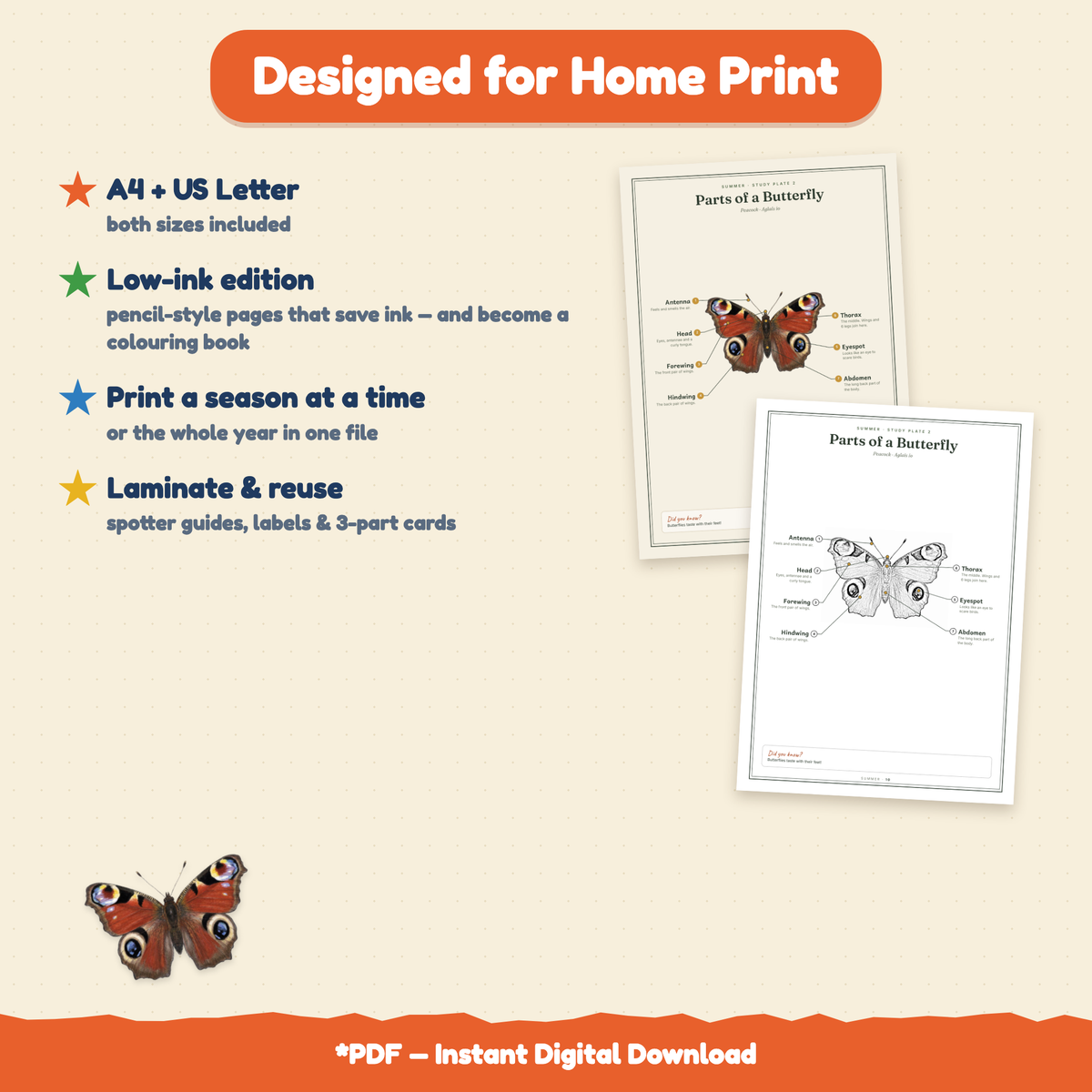 The Little Naturalist's Year | Nature Journal for Kids Ages 3–8 | 152-Page | 4 Season Books, Stories, Parent Guide & Posters | Printable PDF