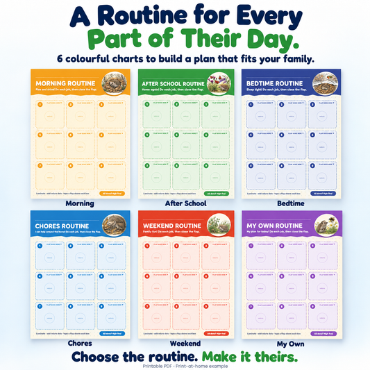 Kids Routine Flip Chart Bundle | 6 Editable Charts + 99 Picture Task Cards | Morning, Bedtime & Chore Chart for Toddlers | Reward Chart, First–Then Board | Printable PDF