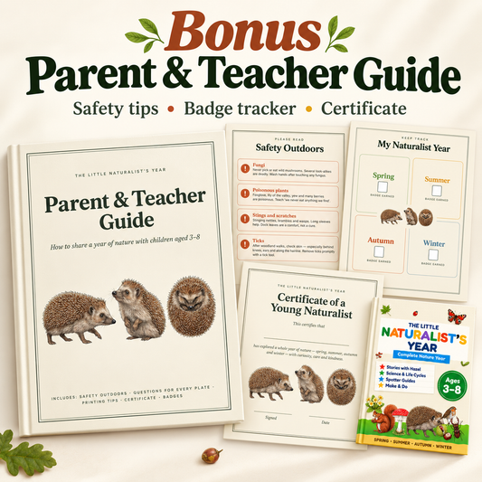 The Little Naturalist's Year | Nature Journal for Kids Ages 3–8 | 152-Page | 4 Season Books, Stories, Parent Guide & Posters | Printable PDF