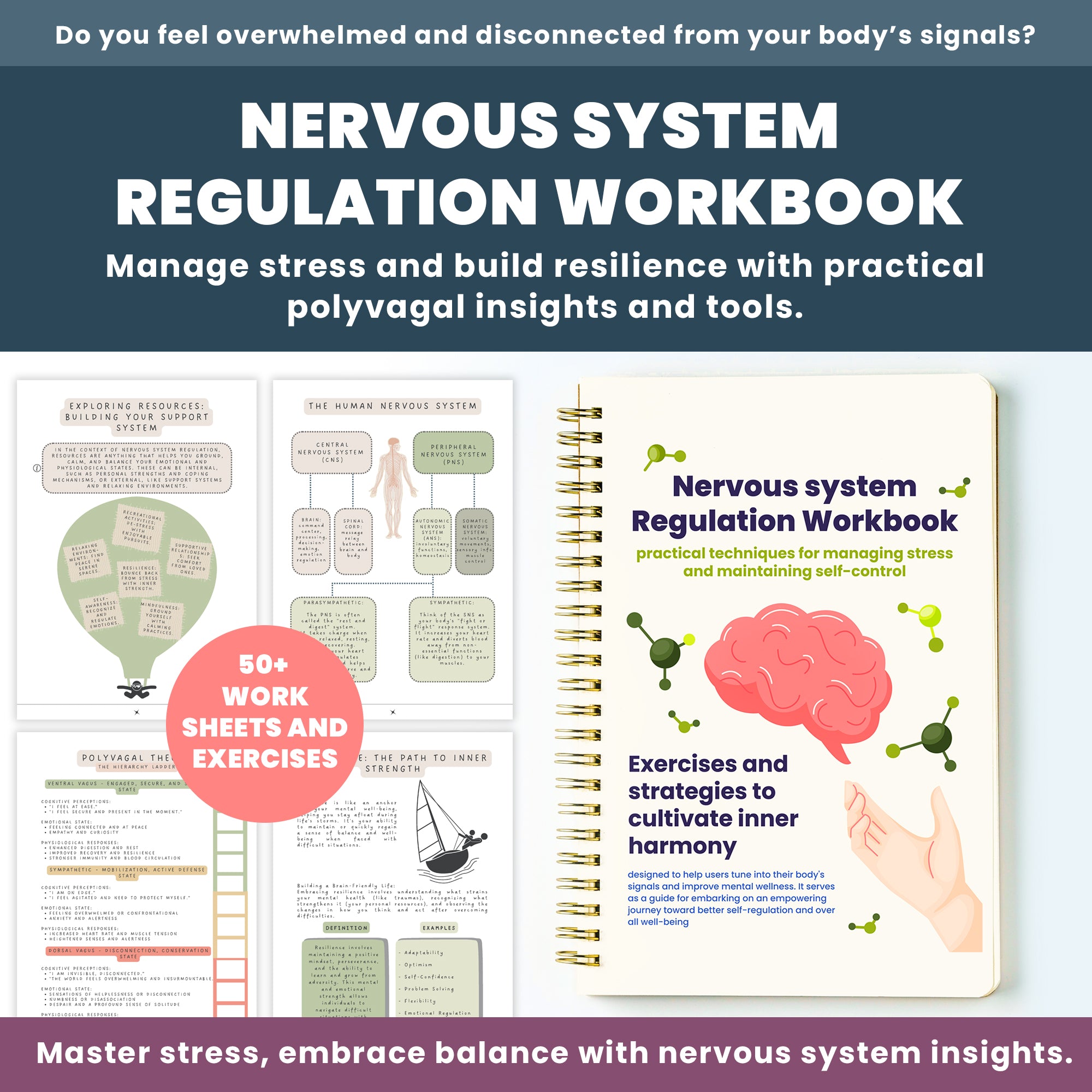 Nervous System Regulation Workbook, Somatic Exercise Polyvagal Theory Ladder Vagus Vagal Nerve Therapy Techniques Worksheets Co-regulation