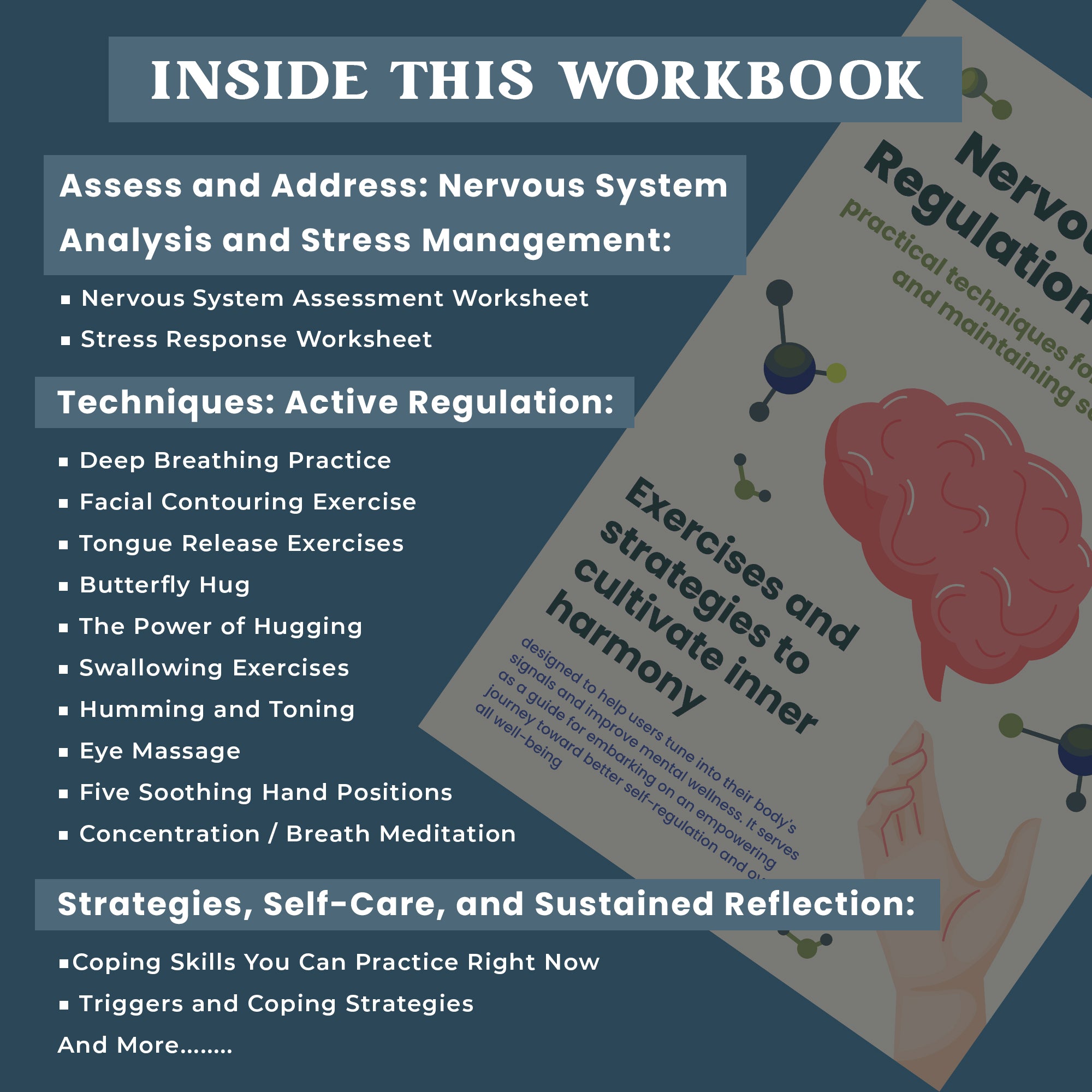 Nervous System Regulation Workbook, Somatic Exercise Polyvagal Theory Ladder Vagus Vagal Nerve Therapy Techniques Worksheets Co-regulation