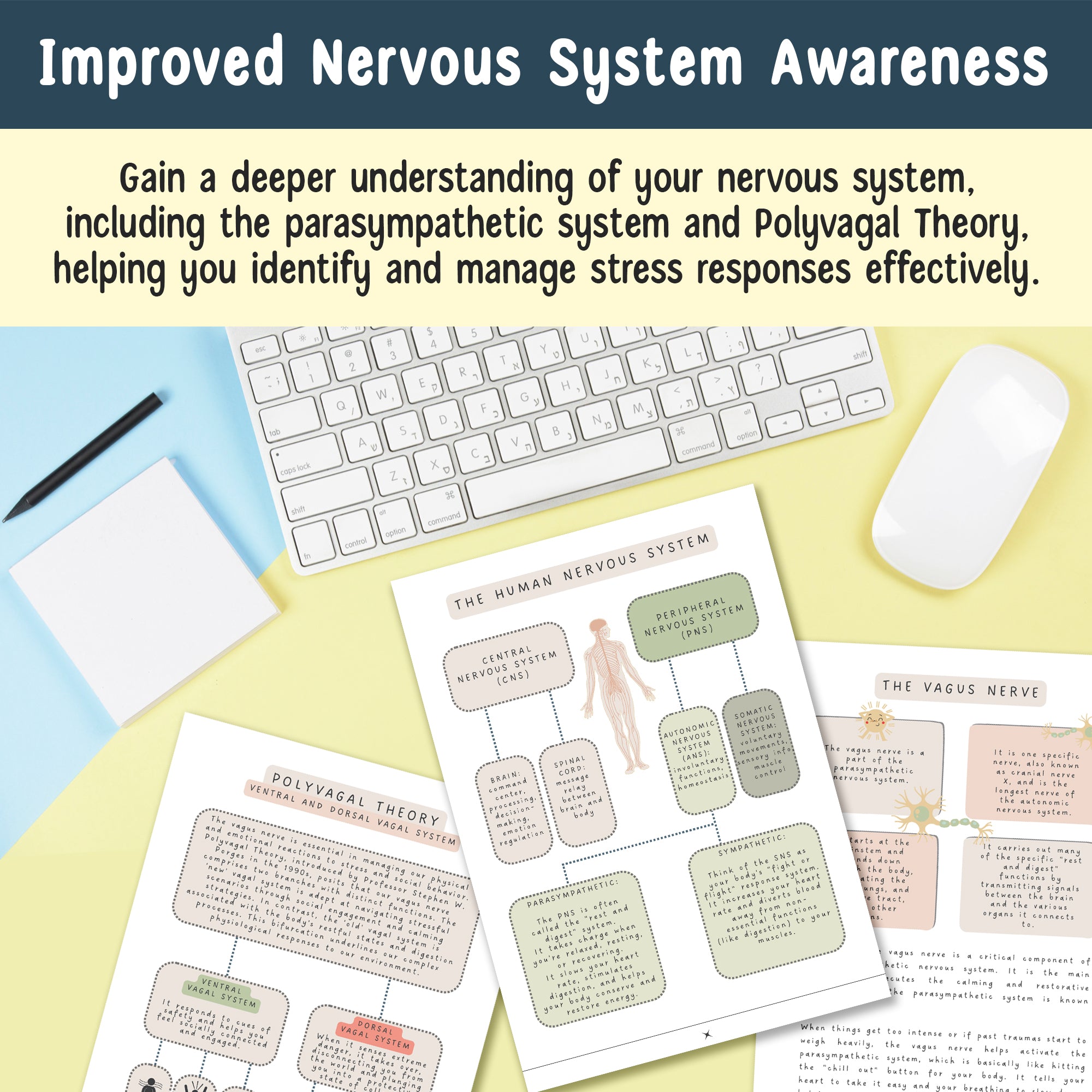 Nervous System Regulation Workbook, Somatic Exercise Polyvagal Theory Ladder Vagus Vagal Nerve Therapy Techniques Worksheets Co-regulation