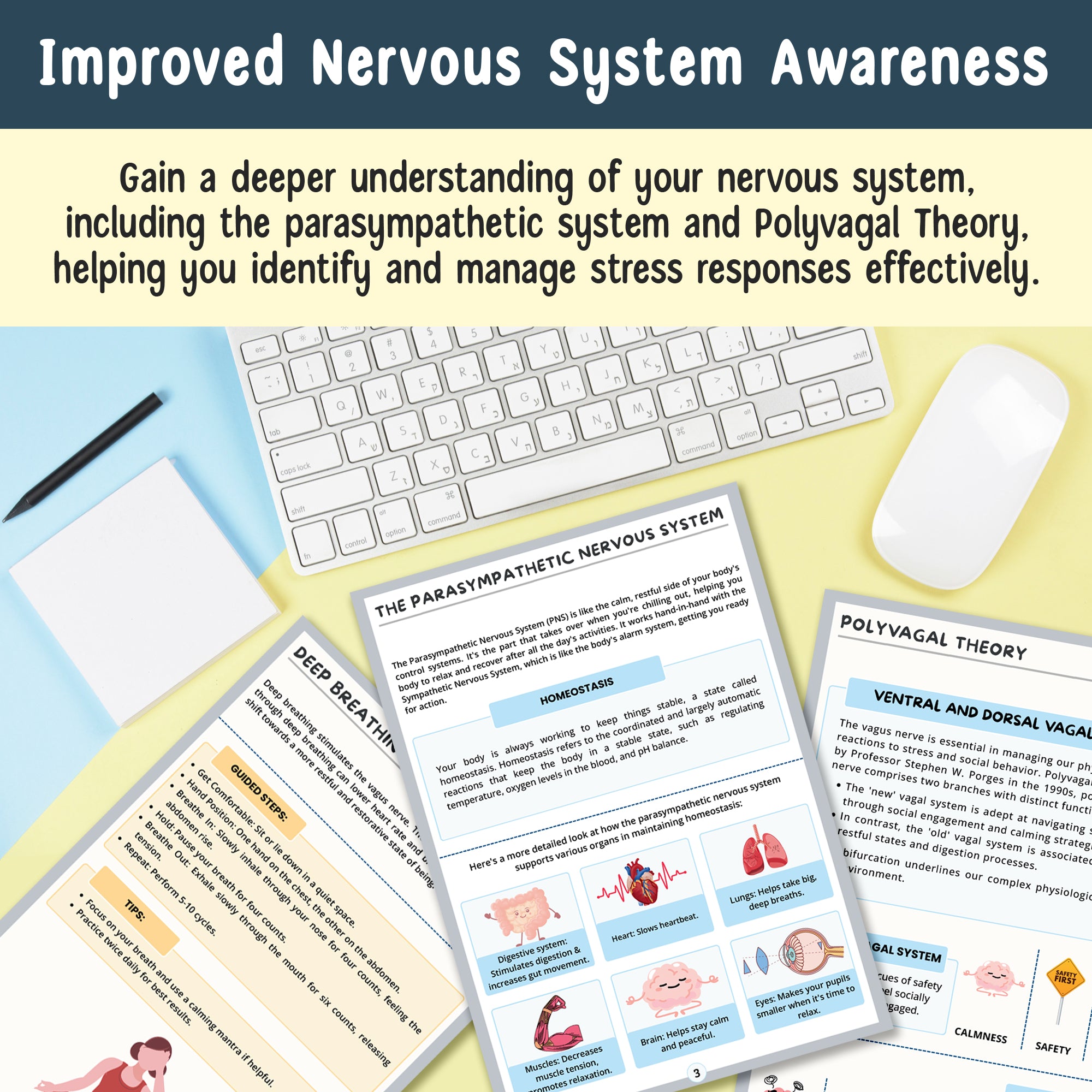 Nervous System Regulation Workbook for Adults | Somatic Exercise Polyvagal Theory | Vagus Vagal Nerve Therapy | Co-regulation