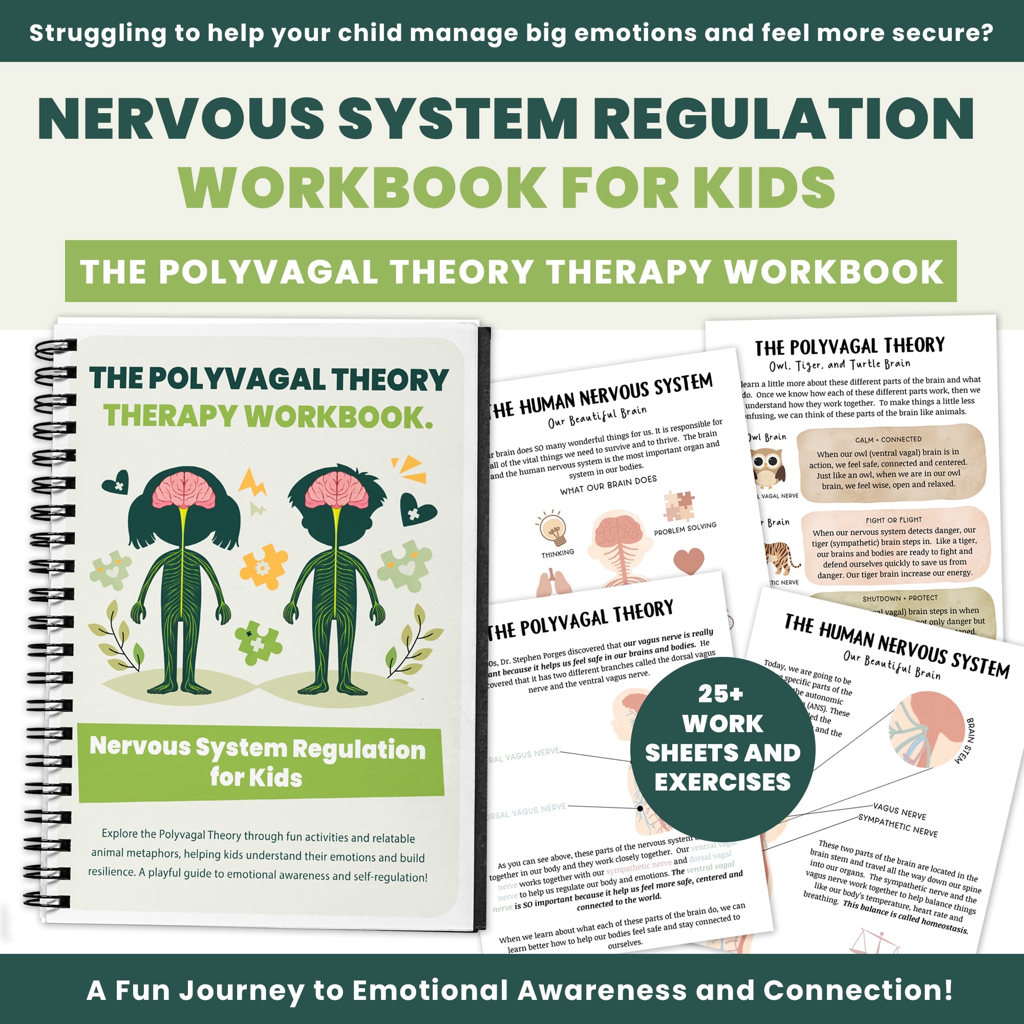 Nervous System Regulation for Kids, Distress Tolerance for Children, Emotional Regulation Skills, Polyvagal Theory, Window of Tolerance