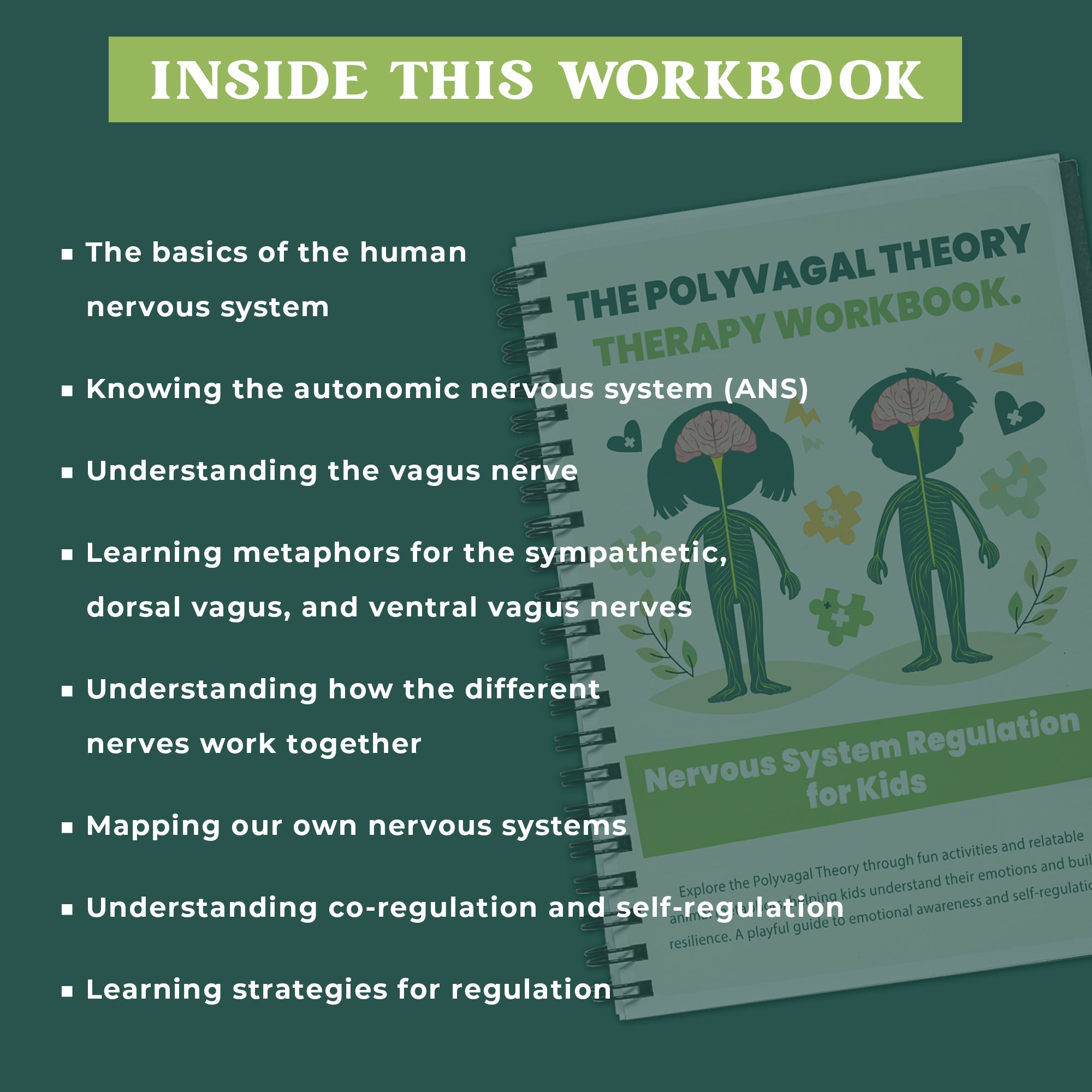 Nervous System Regulation for Kids, Distress Tolerance for Children, Emotional Regulation Skills, Polyvagal Theory, Window of Tolerance