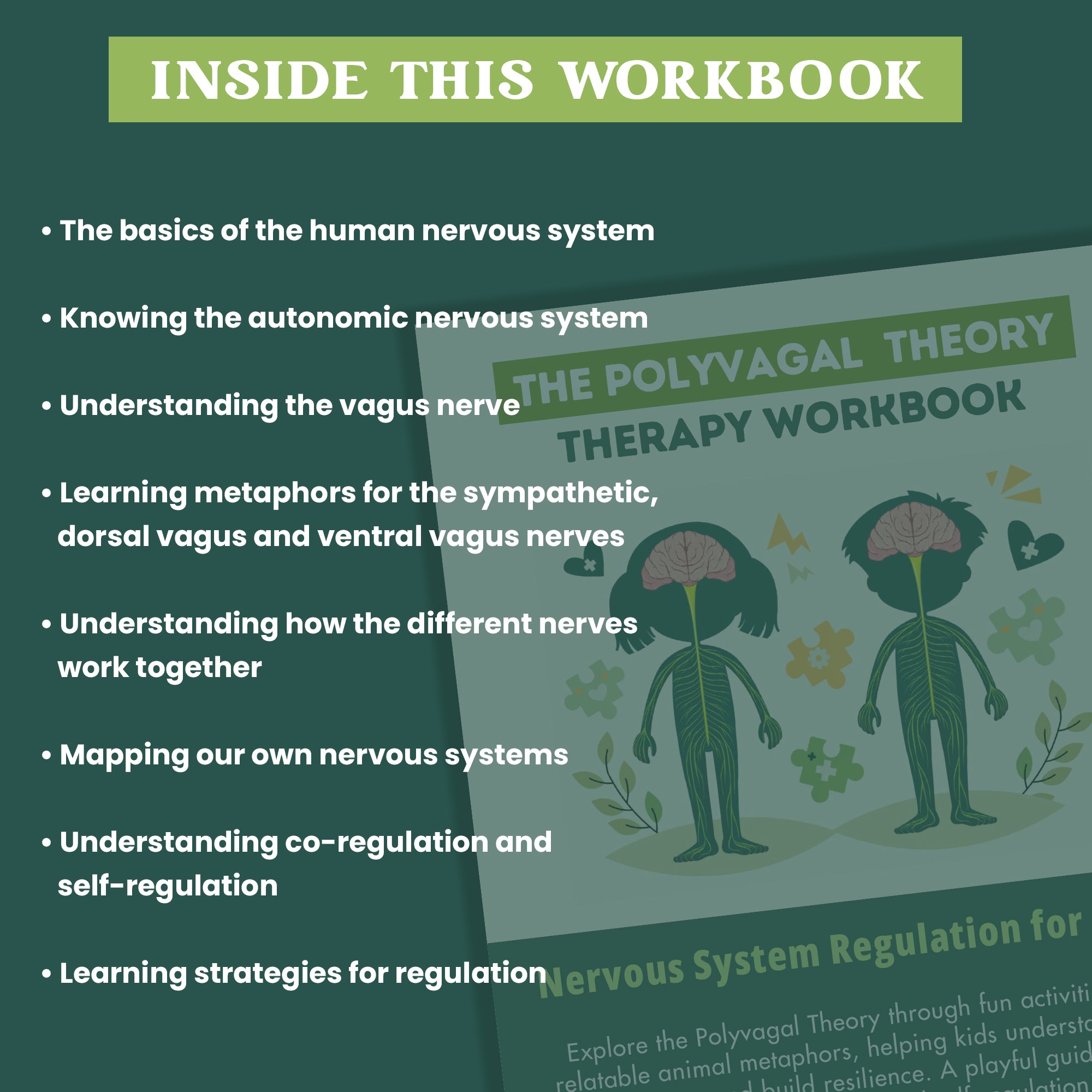 Nervous System Regulation for Kids, Emotional Regulation Skills, Polyvagal Theory for Children, Building Distress Tolerance, Strengthening the Window of Tolerance