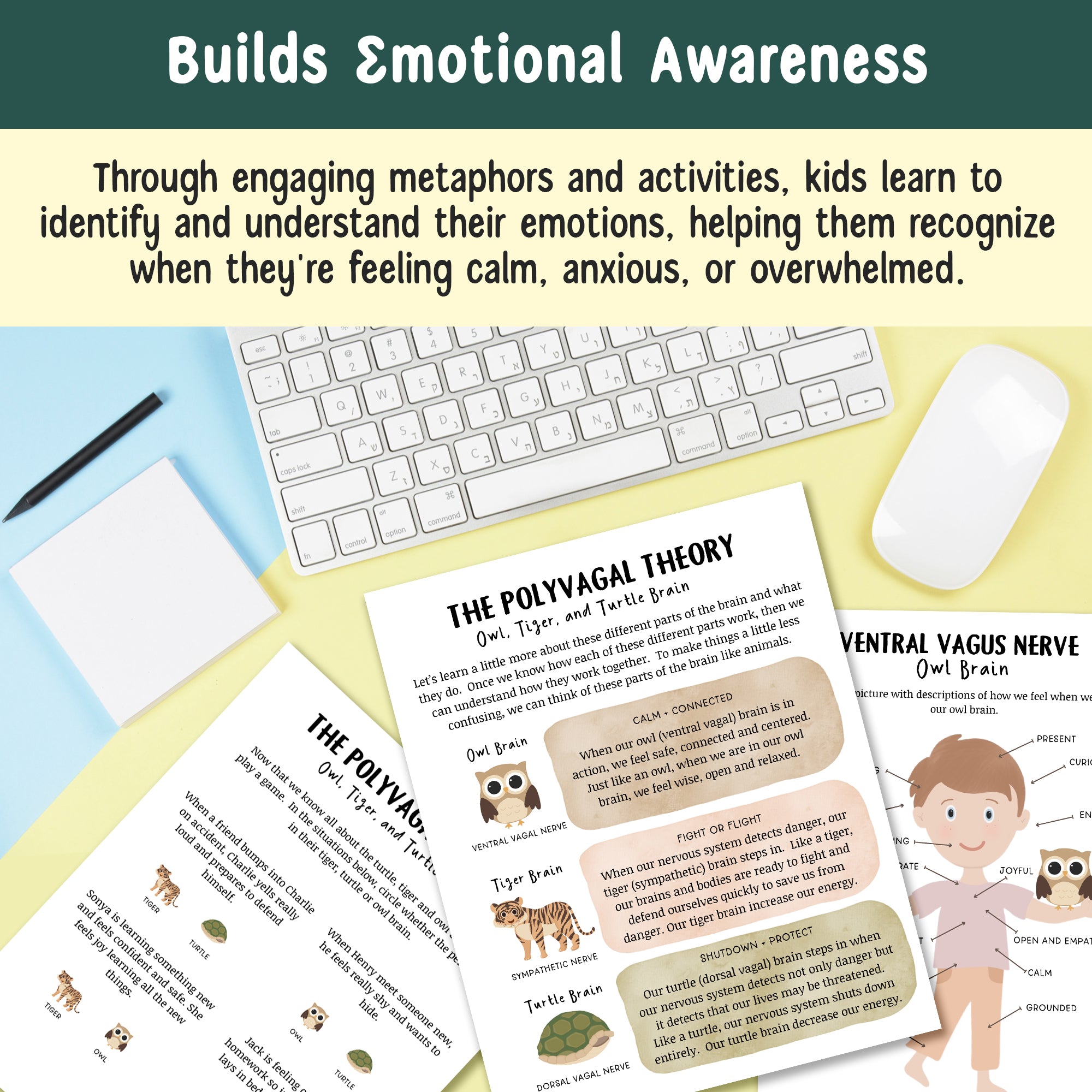 Nervous System Regulation for Kids, Distress Tolerance for Children, Emotional Regulation Skills, Polyvagal Theory, Window of Tolerance