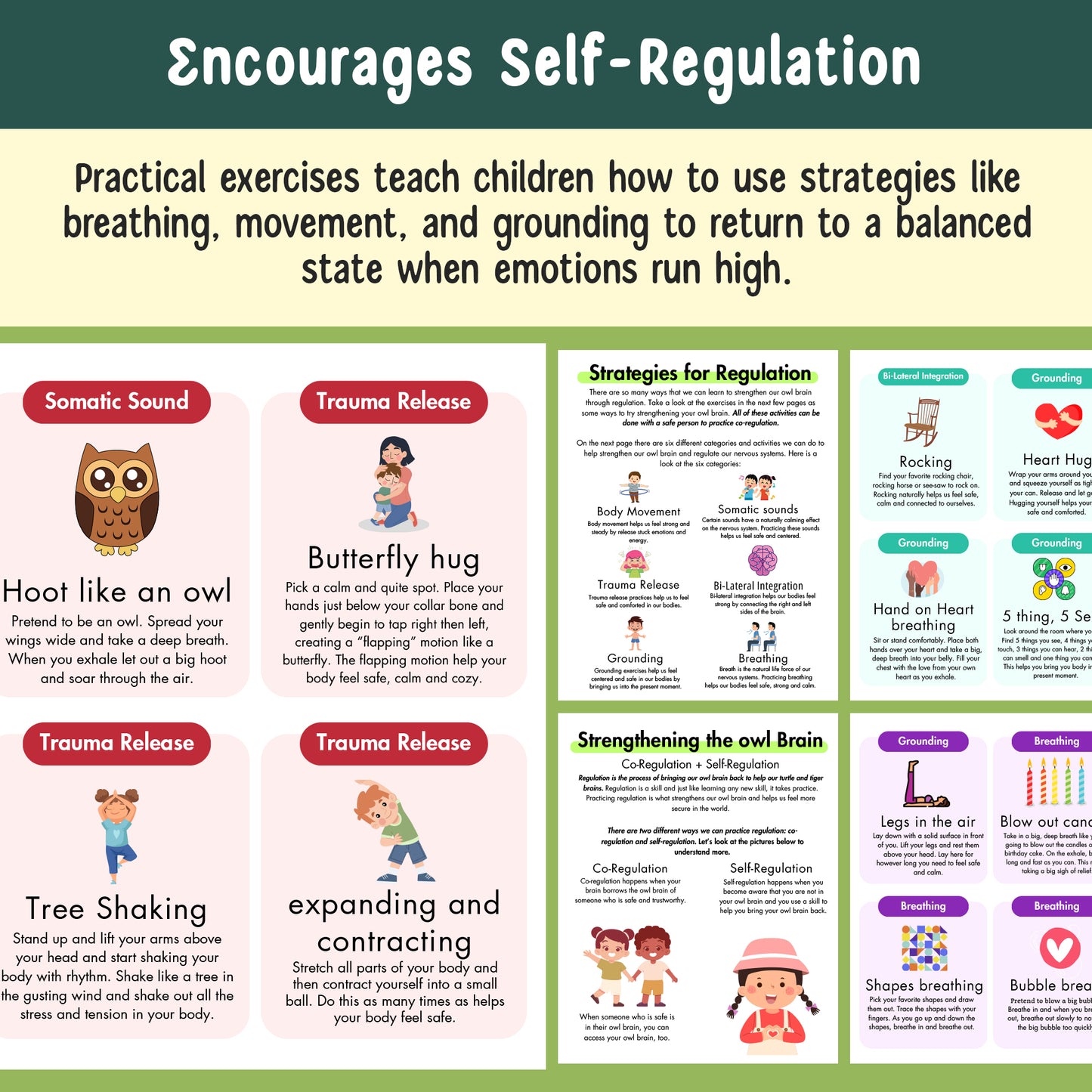 Nervous System Regulation for Kids, Emotional Regulation Skills, Polyvagal Theory for Children, Building Distress Tolerance, Strengthening the Window of Tolerance